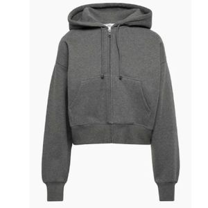 Aritzia Cozy Fleece Boyfriend Zip Hoodie